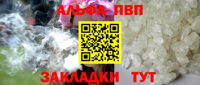 мет Кингисепп