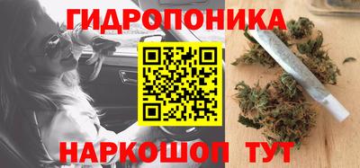 мет Кингисепп