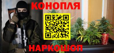 мет Кингисепп
