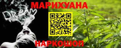 мет Кингисепп