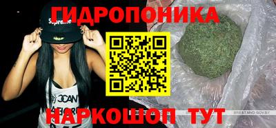 синтетический гашиш Сертолово
