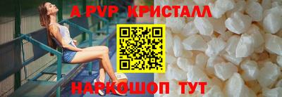 мет Кингисепп