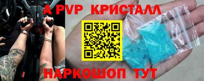 мет Кингисепп